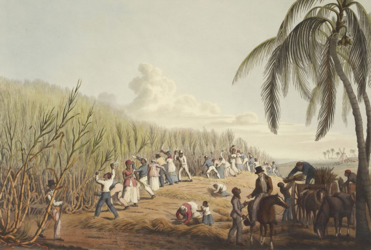 Ilustrasi perbudakan. Belanda minta maaf atas perbudakan di masa lalu