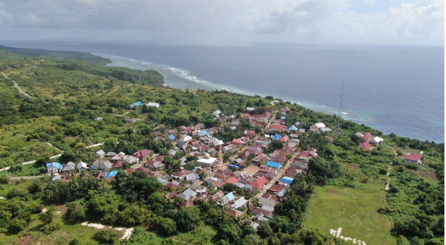 Ilustrasi SFV Wakatobi