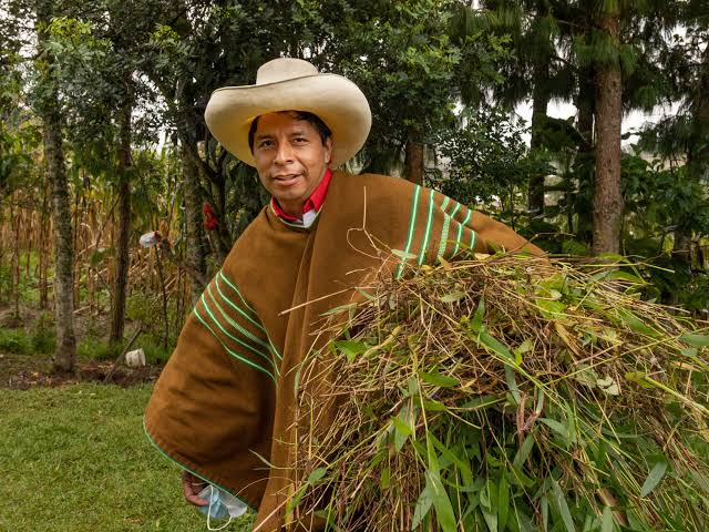 Kongres Peru