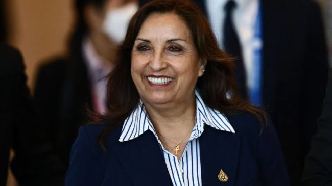 Wakil Presiden Peru Dina Boluarte