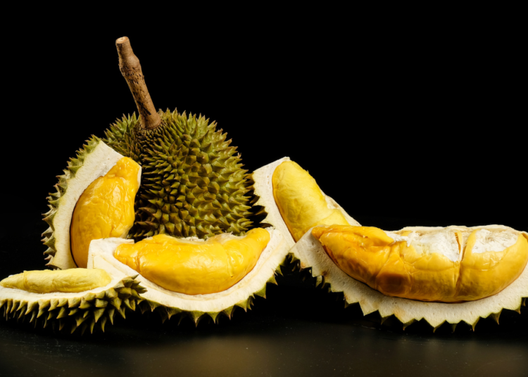 Manfaat Buah Durian dan Efek Samping Konsumsi Berlebihan