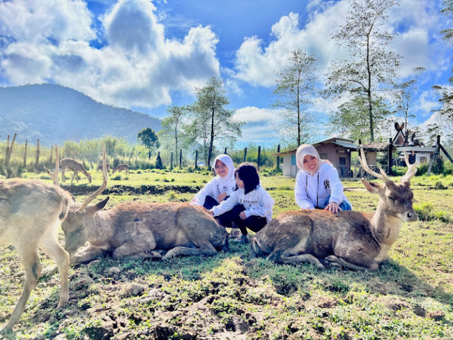 Konservasi Rusa di Ranca Upas (Foto: google maps @NengYanti)