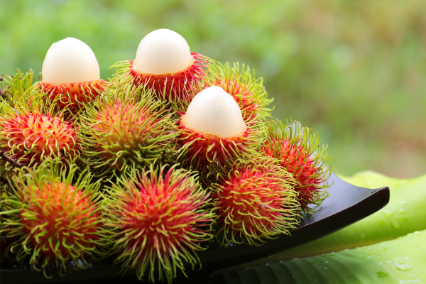 Ilustrasi Buah Rambutan (Foto: Canva)