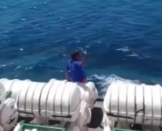 Video Detik-detik Pria Nekat Bunuh Diri Terjun dari Kapal ke Laut (Tangkapan layar)