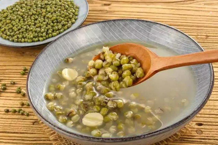 kacang hijau pertumbuhan manfaat ijo perkecambahan laporan maag beans obat penelitian anemia kandungan kulit terhadap alami penyakit palawija herbal biologi