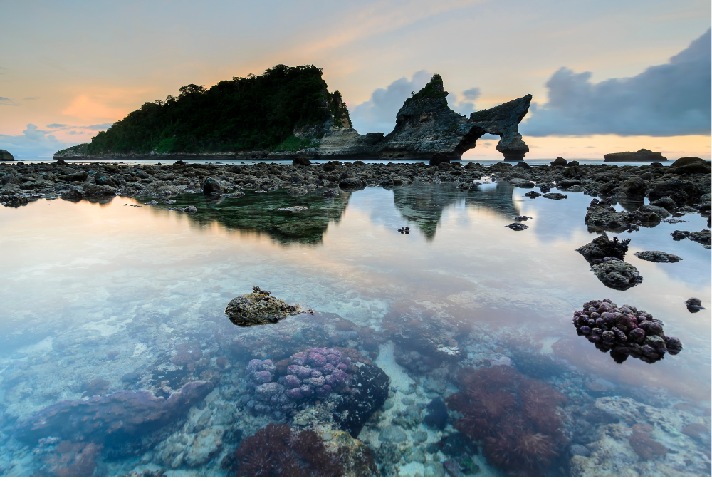 Taman Laut Atuh: Pesona Keindahan Bawah Laut yang Menakjubkan di Bali