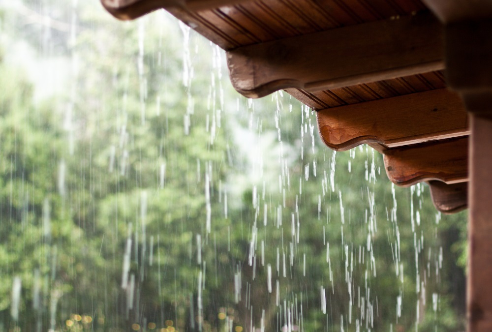 Hujan Ringan (Foto Canva-Dushenina)