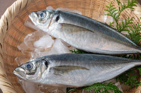 Manfaat Konsumsi Ikan Kembung untuk Kesehatan dan Anemia