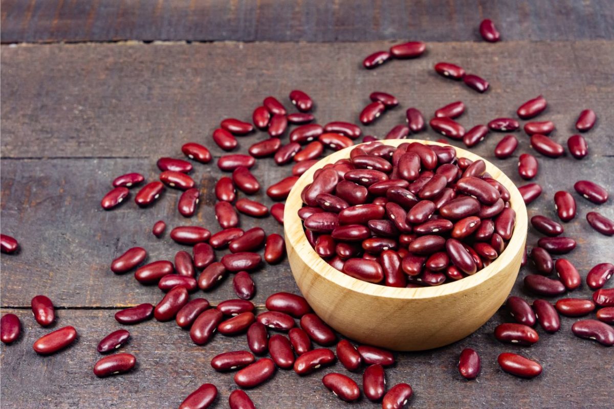Manfaat Kacang Merah untuk Sistem Kekebalan Tubuh