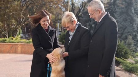 Anjing predisen moldova