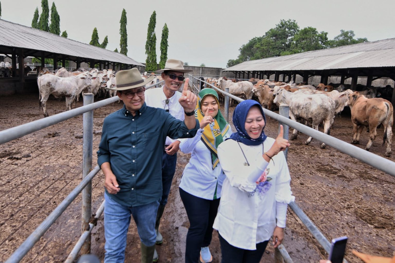 Bantu Peternak, Anies Janji Perbaiki Tata Niaga