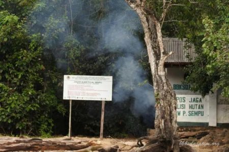 Mahasiswa IPB University hilang di Pulau Sempu Malang (Dok BKSDA Jatim)