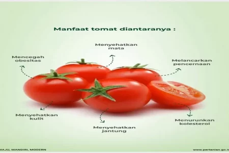 Manfaat tomat