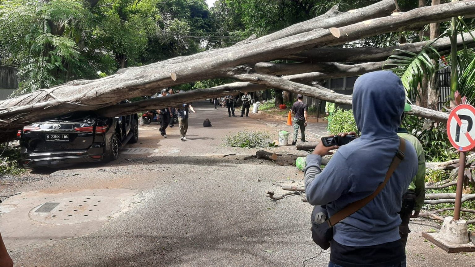 Pohon Beringin Tumbang di Rumah Prabowo Akibat Angin