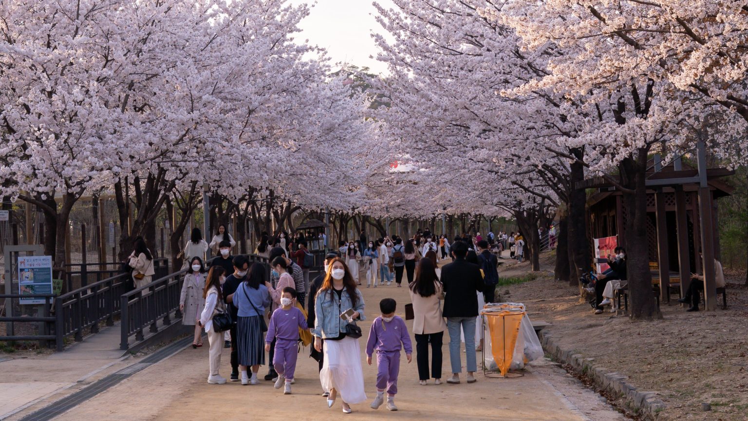 waktu-waktu yang tepat untuk liburan ke Jepang