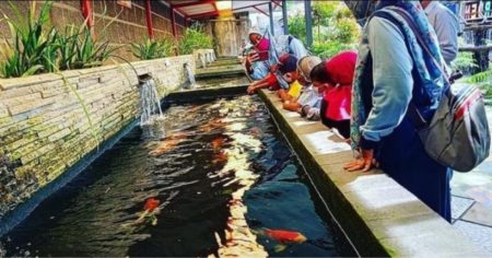 Yuk Berkunjung ke Fish Garden, Destinasi Wisata Edukasi di Blitar