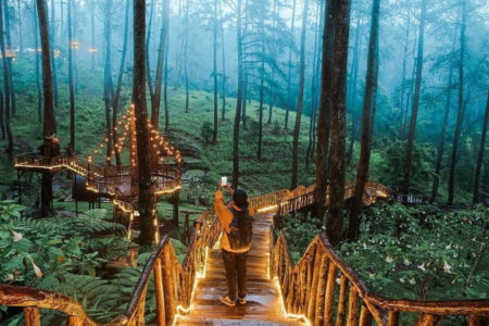 3 rekomendasi destinasi wisata hutan pinus terbaik di lembang, bandung