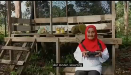 nenek gunakan drone